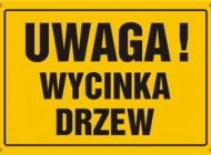 Zmiany przepisów w zakresie usuwania krzewów i zadrzewień Zmiany przepisów w zakresie usuwania krzewów i zadrzewień